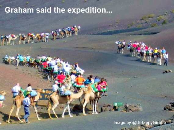 Camel Train