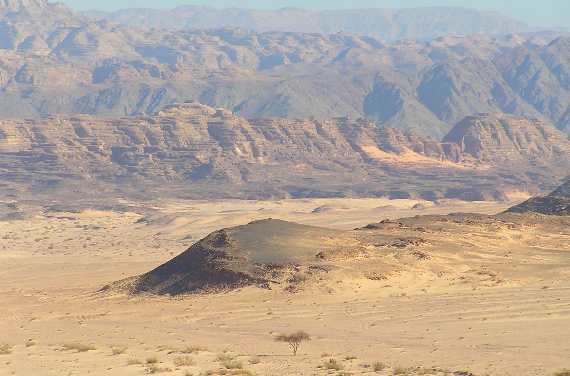 Sinai Desert