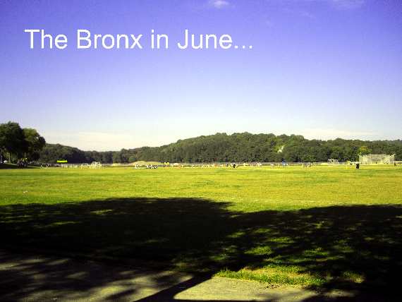 Van Cortlandt Park Bronx