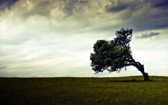 Bending Tree