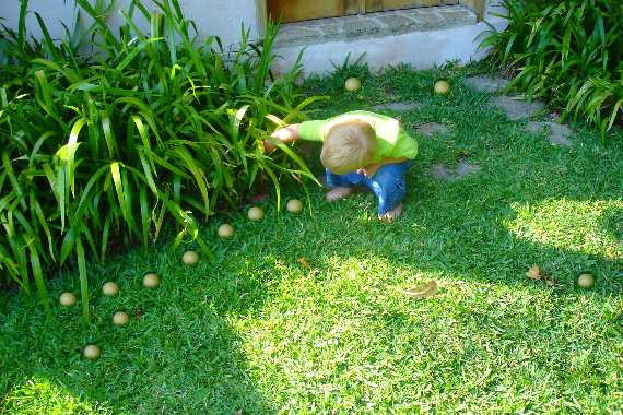 Easter Egg Hunts