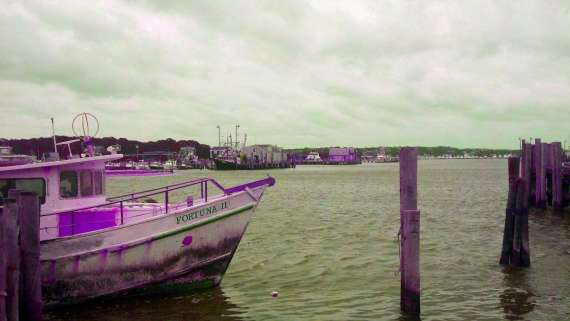 Montauk Boats