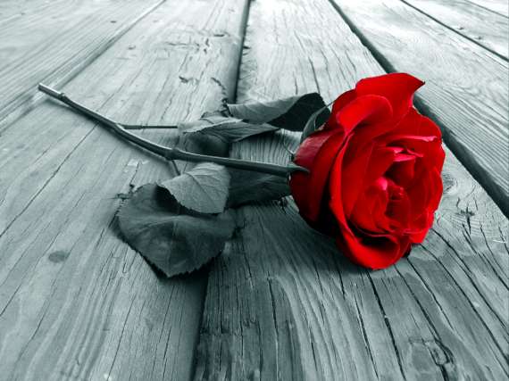 Valentine's Day Poems