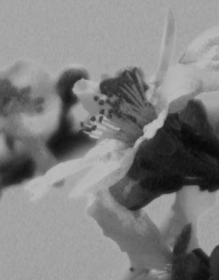 Japan, What is to Come...